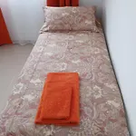 New Jasmine 招待所 圣伊西德罗